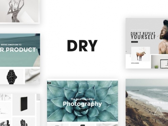 DRY-1